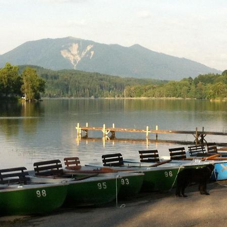 Ruheoase Mit Bergblick Im Zentrum Murnaus Murnau am Staffelsee Buitenkant foto